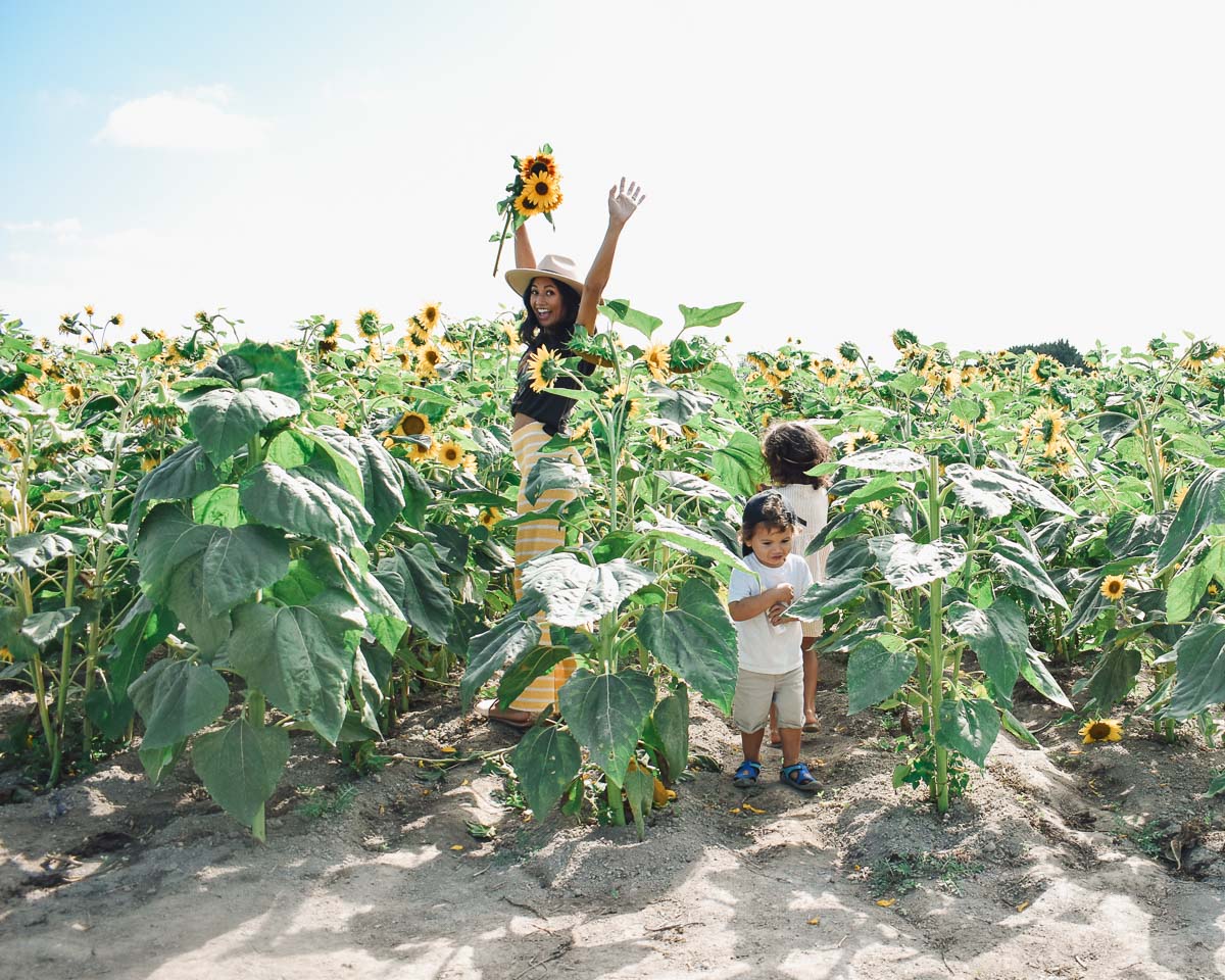 Yellow, knit HIGH-WAISTED STRAIGHT LEG PANTS from Zara. Amanda and her kids walking through the sunflower field.