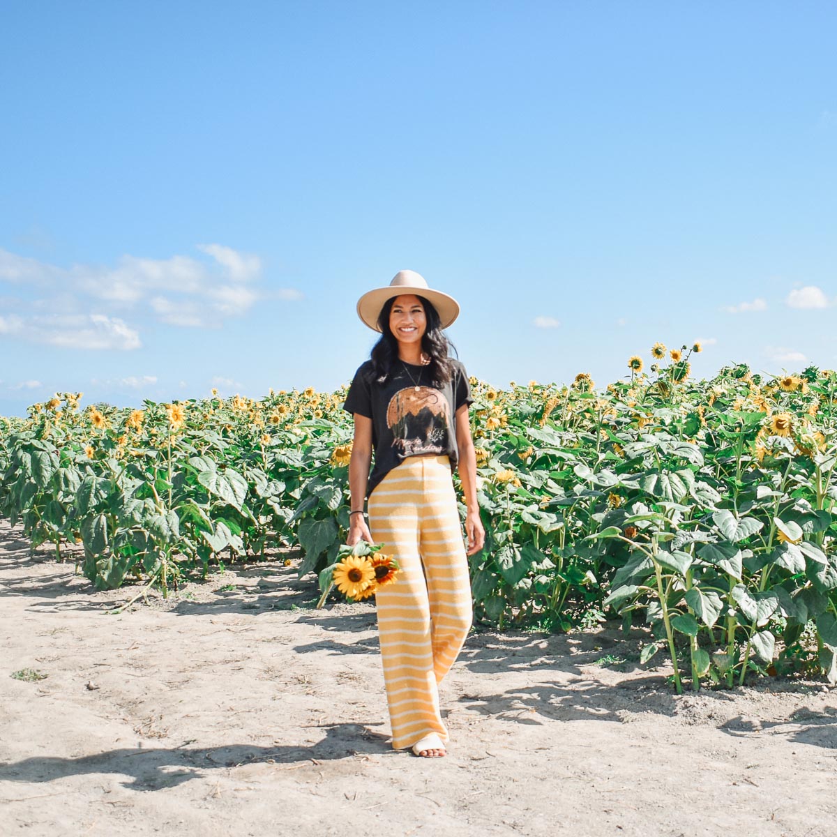 Yellow, knit HIGH-WAISTED STRAIGHT LEG PANTS from Zara, Amanda walking through sunflower field at Emma Lea Farms in Ladner BC.